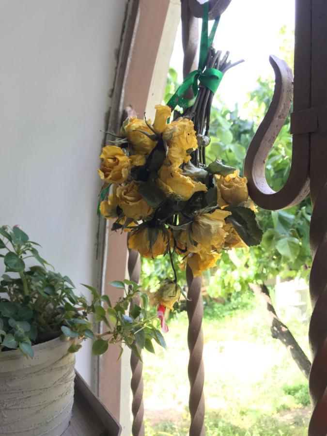 Guests House Qotukner ξενώνας Karbi Εξωτερικό φωτογραφία