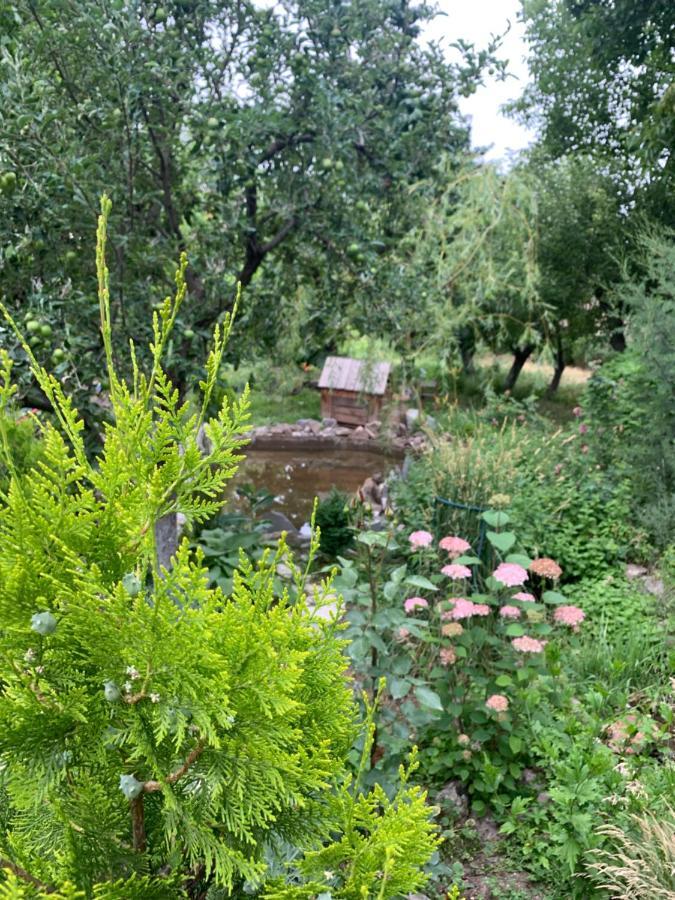 Guests House Qotukner ξενώνας Karbi Εξωτερικό φωτογραφία