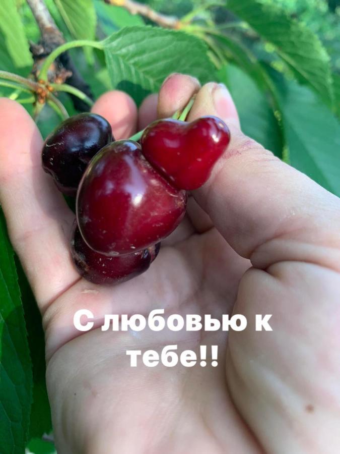 Guests House Qotukner ξενώνας Karbi Εξωτερικό φωτογραφία
